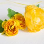 dekoracje Buttercup