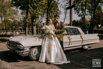 suknia ślubna Pronovias – model Sedna 