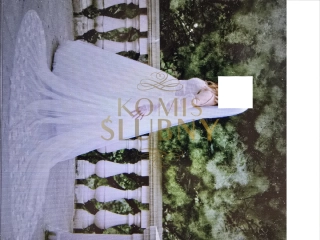 Suknia Ślubna - używana (ideał) + opcja dokupienia welonu